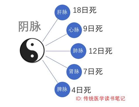 左血右氣|論凡脈左手血中之氣，右手氣中之血